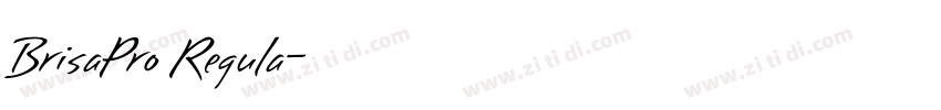 BrisaPro Regula字体转换